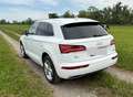 Audi Q5 Q5 2,0 TDI quattro ultra sport S-tronic Weiß - thumbnail 3