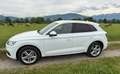 Audi Q5 Q5 2,0 TDI quattro ultra sport S-tronic Weiß - thumbnail 1
