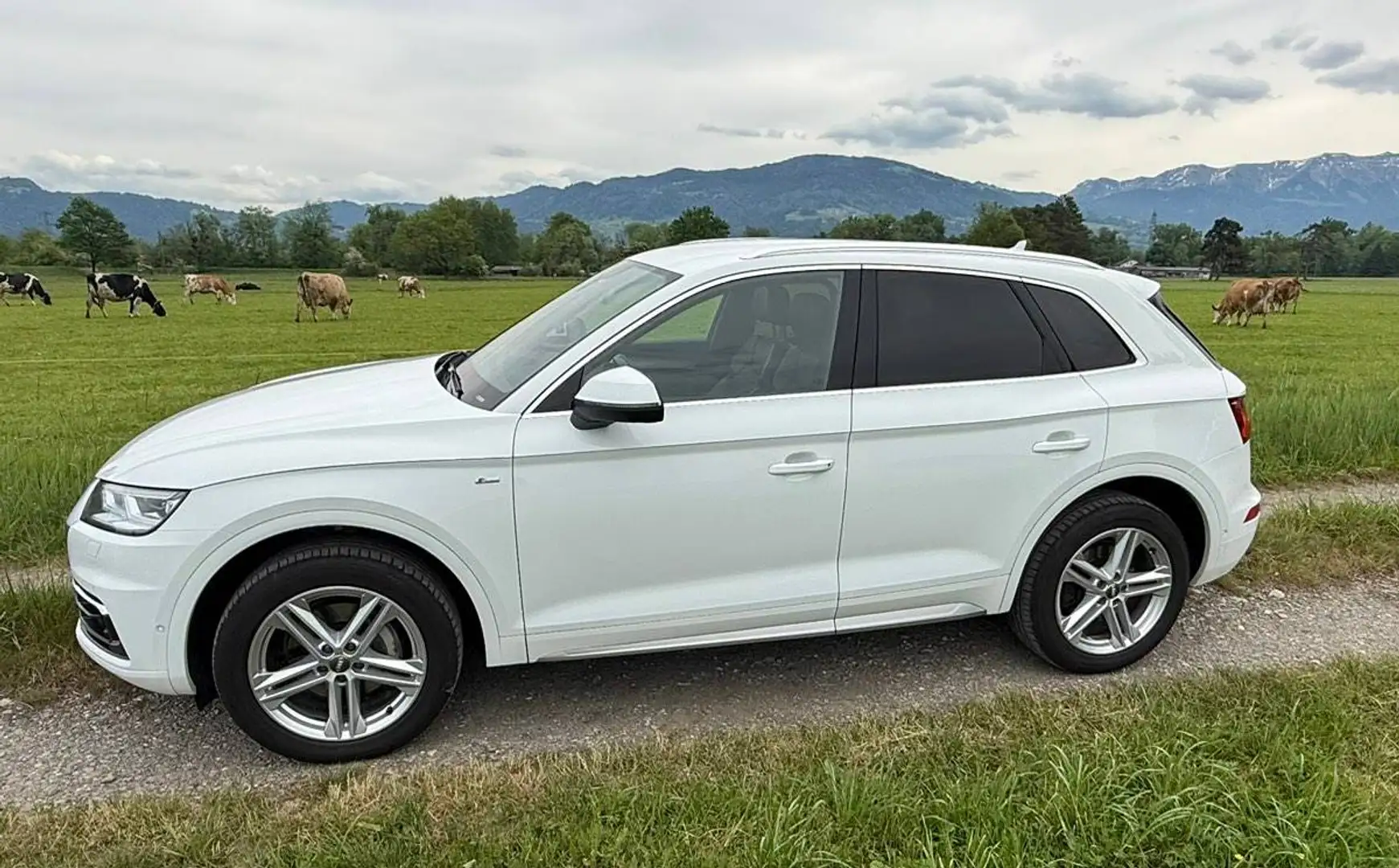 Audi Q5 Q5 2,0 TDI quattro ultra sport S-tronic Weiß - 1