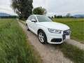 Audi Q5 Q5 2,0 TDI quattro ultra sport S-tronic Weiß - thumbnail 4