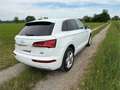 Audi Q5 Q5 2,0 TDI quattro ultra sport S-tronic Weiß - thumbnail 5