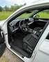 Audi Q5 Q5 2,0 TDI quattro ultra sport S-tronic Weiß - thumbnail 7