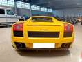 Lamborghini Gallardo Coupe 5.0 500 Cv e-gear First Paint!!!! Sarı - thumbnail 5