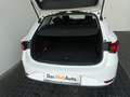 SEAT Leon Reference 1.0 TSI Weiß - thumbnail 19