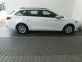 SEAT Leon Reference 1.0 TSI Weiß - thumbnail 16