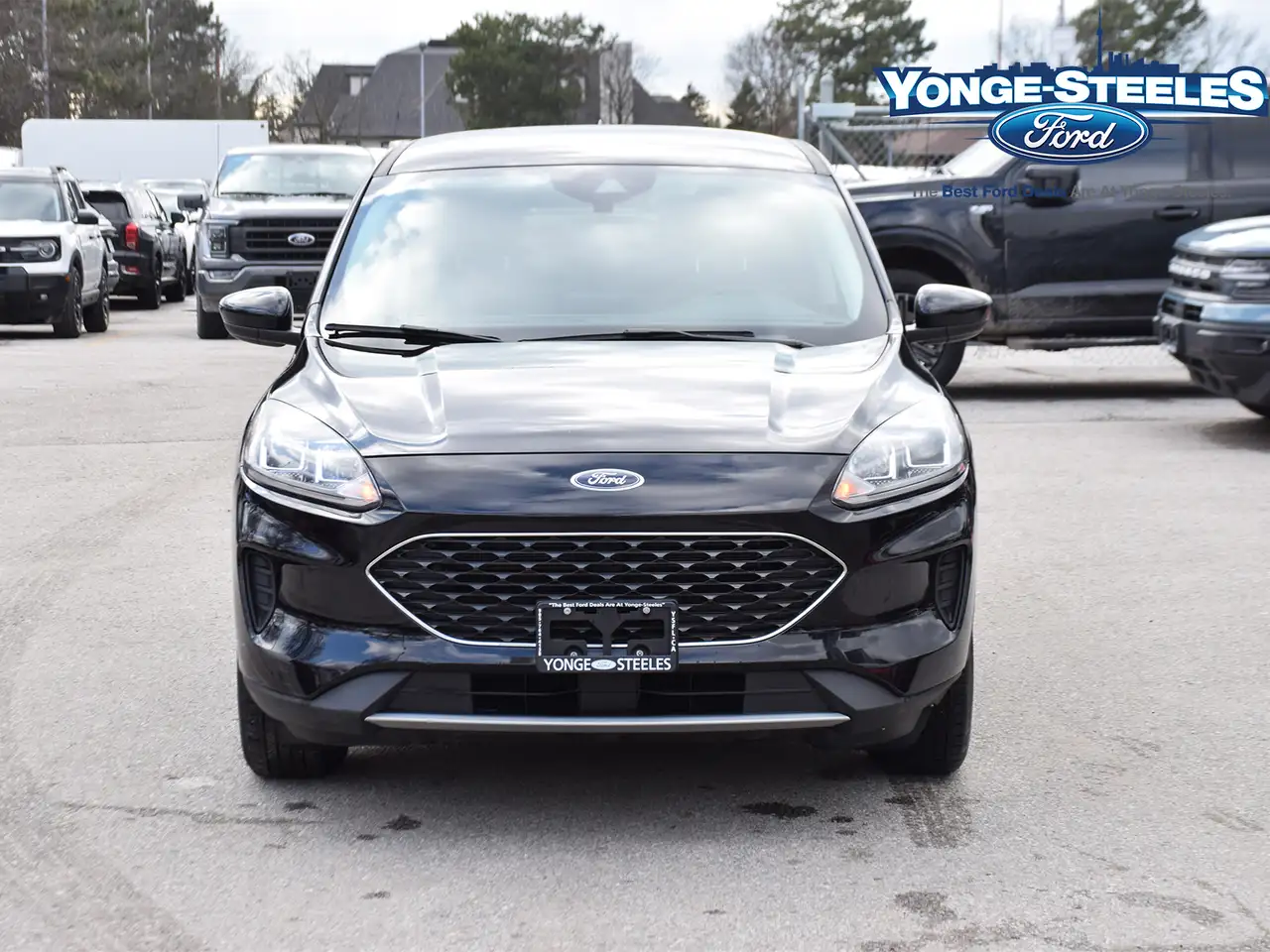 Ford Escape снимка Ford Escape