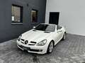Mercedes-Benz SLK 280 Roadster Automatik Blanc - thumbnail 1