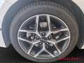 Kia Ceed SW / cee'd SW DCT Platinum Glasdach Navi Leder Weiß - thumbnail 15