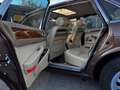 Jaguar Daimler Daimler 4,0 Aut. Коричневий - thumbnail 2