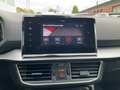 SEAT Tarraco FR 1.4 e-HYBRID AHK Navi SHZ v+h DigiCoc Grau - thumbnail 24