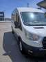 Ford Transit Transit Variobus 2,0 TDCI L3H2 310 Trend Trend Weiß - thumbnail 4
