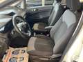 Ford EcoSport 1.5 TDCi 90 CV Plus Bianco - thumbnail 7
