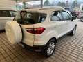 Ford EcoSport 1.5 TDCi 90 CV Plus Bianco - thumbnail 4