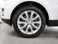 Land Rover Range Rover Sport 3.0TDV6 HSE Aut. Blanco - thumbnail 44