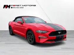 2023 Ford Mustang