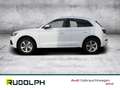 Audi Q5 40 TDI quattro sport ACC LED Navi AHK Rückfahrkam. Weiß - thumbnail 3