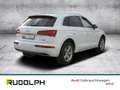 Audi Q5 40 TDI quattro sport ACC LED Navi AHK Rückfahrkam. Weiß - thumbnail 5