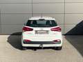 Hyundai i20 1,25 First Edition Weiß - thumbnail 5