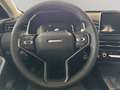 GWM HAVAL Jolion Pro Premium Schwarz - thumbnail 9