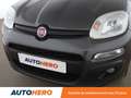 Fiat Panda 1.2 Easy Gris - thumbnail 22