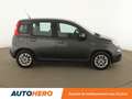 Fiat Panda 1.2 Easy Gris - thumbnail 7