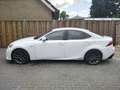 Lexus IS 300 300h F Sport Line 2 jaar garantie hv accu Wit - thumbnail 1