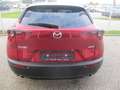 Mazda CX-30 /G140/Exclusive-Line Rot - thumbnail 7
