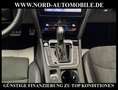 Volkswagen Arteon Shooting Brake Elegance 2.0 TDI DSG Dig.C Elegance Grau - thumbnail 19
