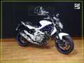 Suzuki Gladius 650 Blau - thumbnail 1
