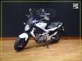 Suzuki Gladius 650 Blau - thumbnail 2