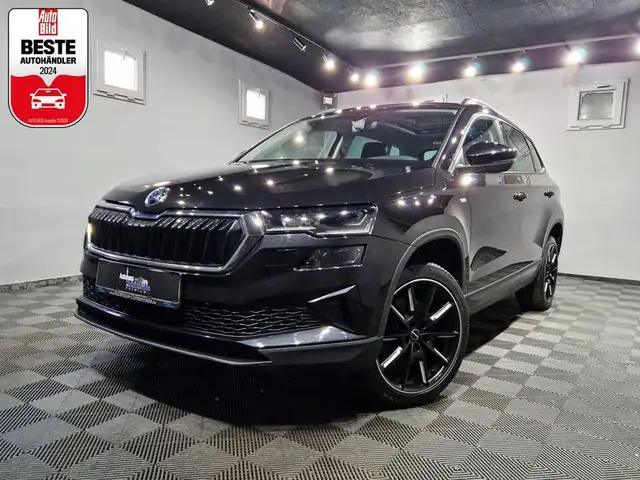 Skoda Karoq main image