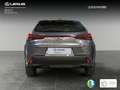 Lexus UX 250h Business 2WD Gris - thumbnail 7