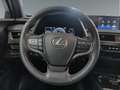 Lexus UX 250h Business 2WD Gris - thumbnail 14