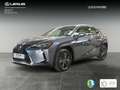 Lexus UX 250h Business 2WD Gris - thumbnail 4