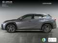 Lexus UX 250h Business 2WD Gris - thumbnail 6