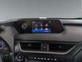 Lexus UX 250h Business 2WD Gris - thumbnail 18
