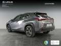 Lexus UX 250h Business 2WD Gris - thumbnail 5