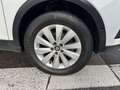 SEAT Arona Arona 1.6 TDI DSG/ XCELLENCE/Cockpit/Park Assist.. Blanc - thumbnail 9