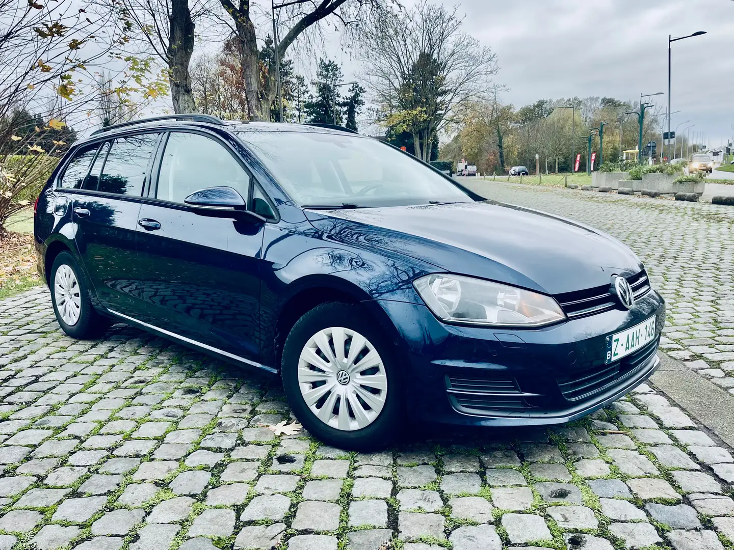Volkswagen Golf Variant Golf Variant 1.6 TDI 4Motion Technology Trendline Blauw - 1