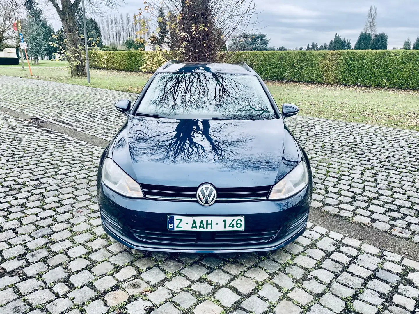 Volkswagen Golf Variant Golf Variant 1.6 TDI 4Motion Technology Trendline Blauw - 2