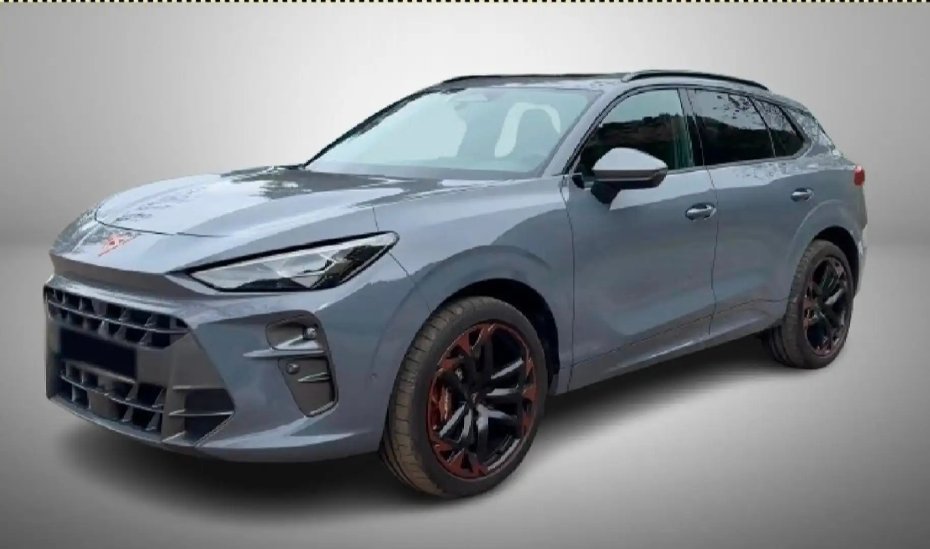 CUPRA Terramar Terramar 2.0 TSI 4Drive DSGVZ Grau - 1