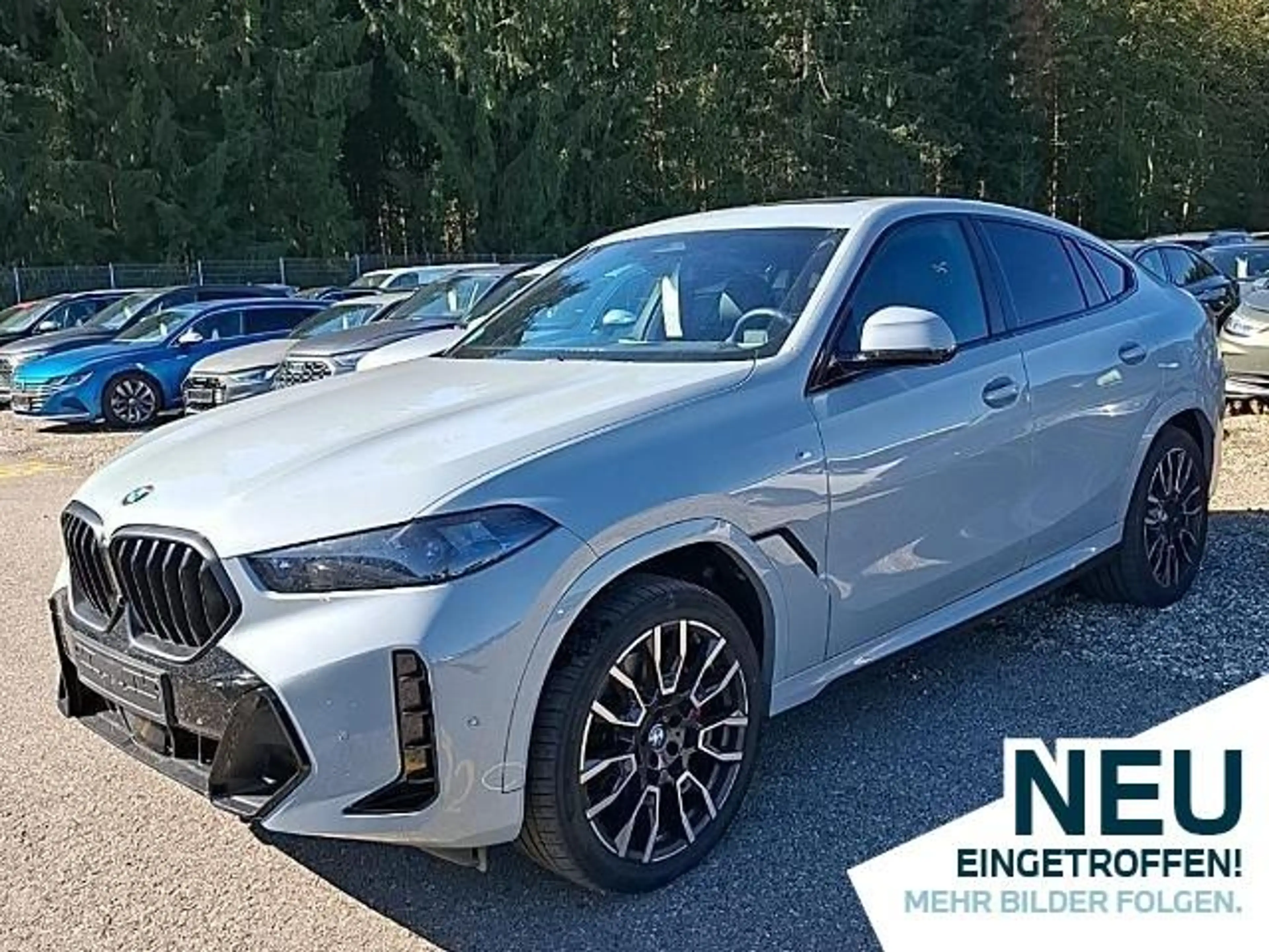BMW X6 xDrive30d M-SportPRO 21 PANO HuD H&K KoZg 360°