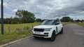 Land Rover Range Rover AUTOBIOGRAPHY SDV8 4.4L 339ch Vogue A Wit - thumbnail 1