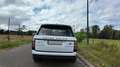 Land Rover Range Rover AUTOBIOGRAPHY SDV8 4.4L 339ch Vogue A Wit - thumbnail 16