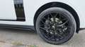 Land Rover Range Rover AUTOBIOGRAPHY SDV8 4.4L 339ch Vogue A Wit - thumbnail 7