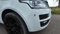 Land Rover Range Rover AUTOBIOGRAPHY SDV8 4.4L 339ch Vogue A Wit - thumbnail 18