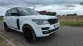 Land Rover Range Rover AUTOBIOGRAPHY SDV8 4.4L 339ch Vogue A Wit - thumbnail 17
