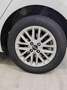 Kia Rio 1.0 T-GDi 12V 5 porte Cool Bianco - thumbnail 7