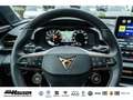 CUPRA Terramar VZ 2.0 TSI DSG 4Drive PANO AHK TOP-VIEW HUD NAVI P Blau - thumbnail 22