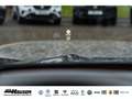 CUPRA Terramar VZ 2.0 TSI DSG 4Drive PANO AHK TOP-VIEW HUD NAVI P Blau - thumbnail 24